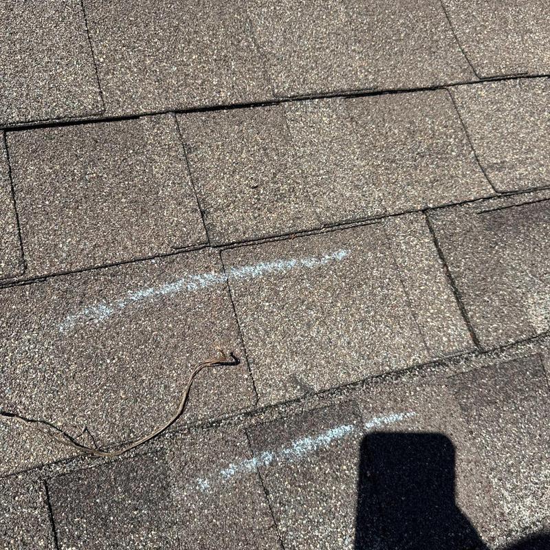 Asphalt shingles with hail damage markings on roof