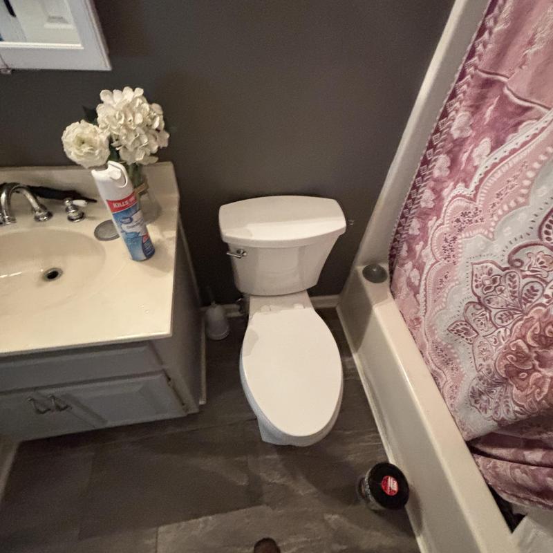 Toilet installation and hydraulic cement sealing
