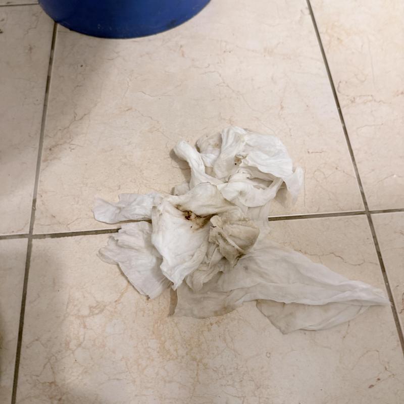 Toilet blockage debris on tiled floor Toilet blockage debris on tiled floor