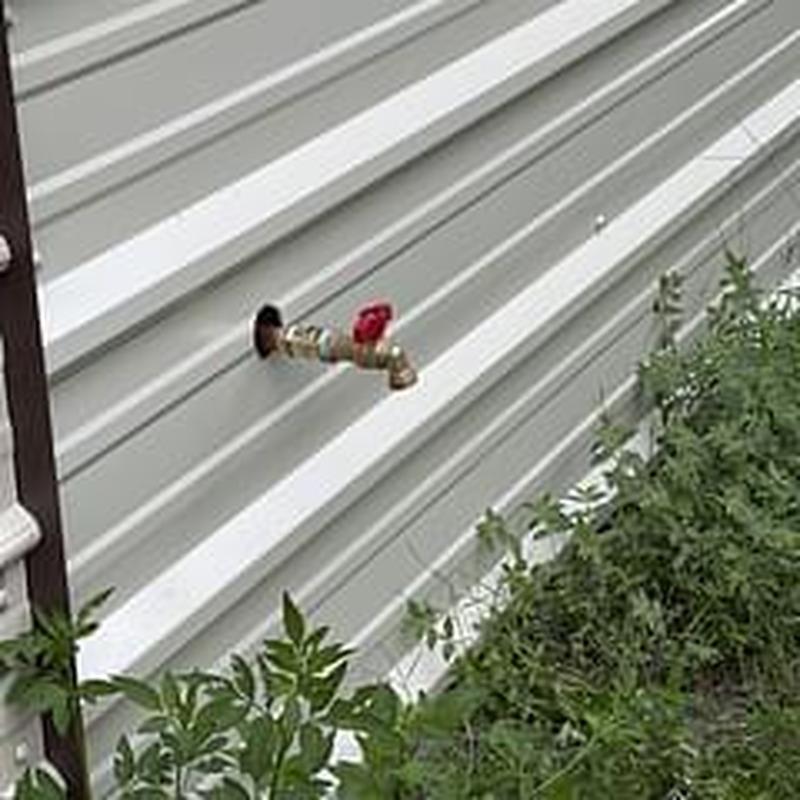 Outdoor water spigot with red shut-off valve on siding