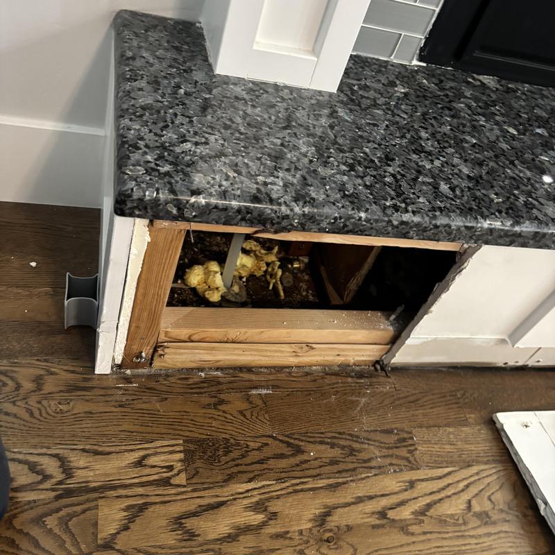 Kitchen cabinet plumbing access with insulation exposed
