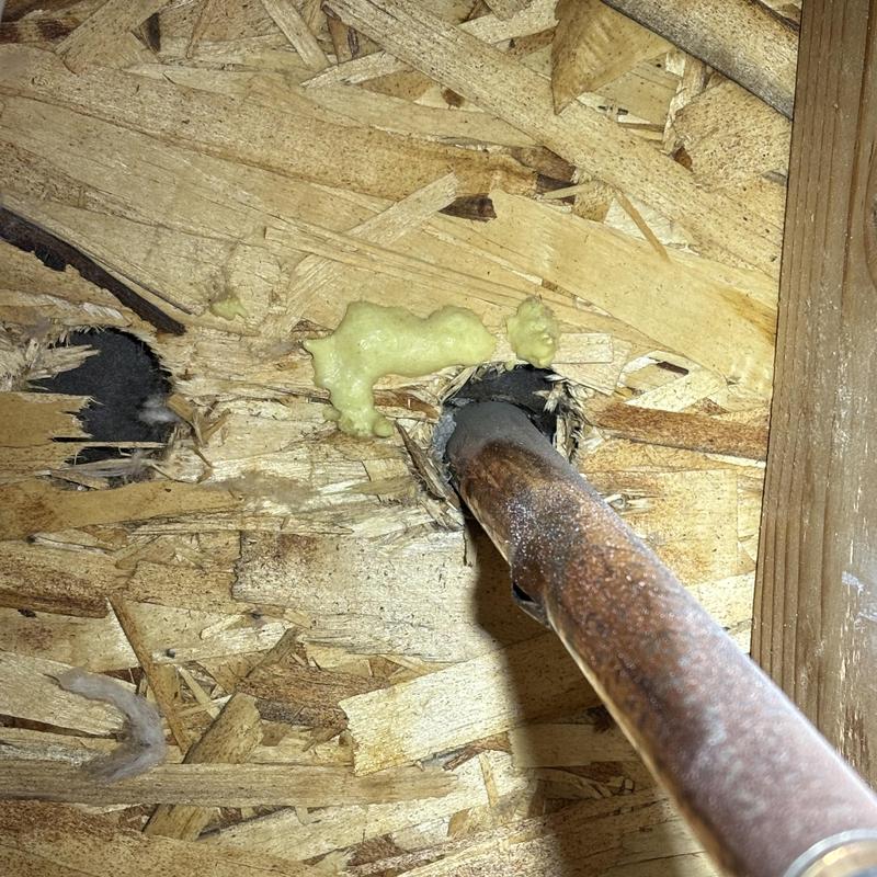 Copper pipe penetration sealed with foam insulation