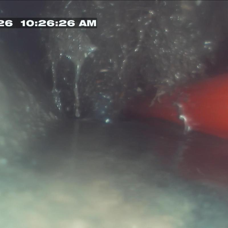 Sewer line camera inspection showing root intrusion Sewer line camera inspection showing root intrusion