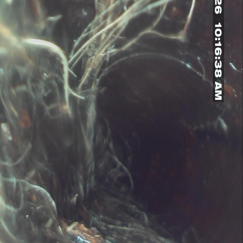 Sewer line roots clog inside pipe with camera view Sewer line roots clog inside pipe with camera view