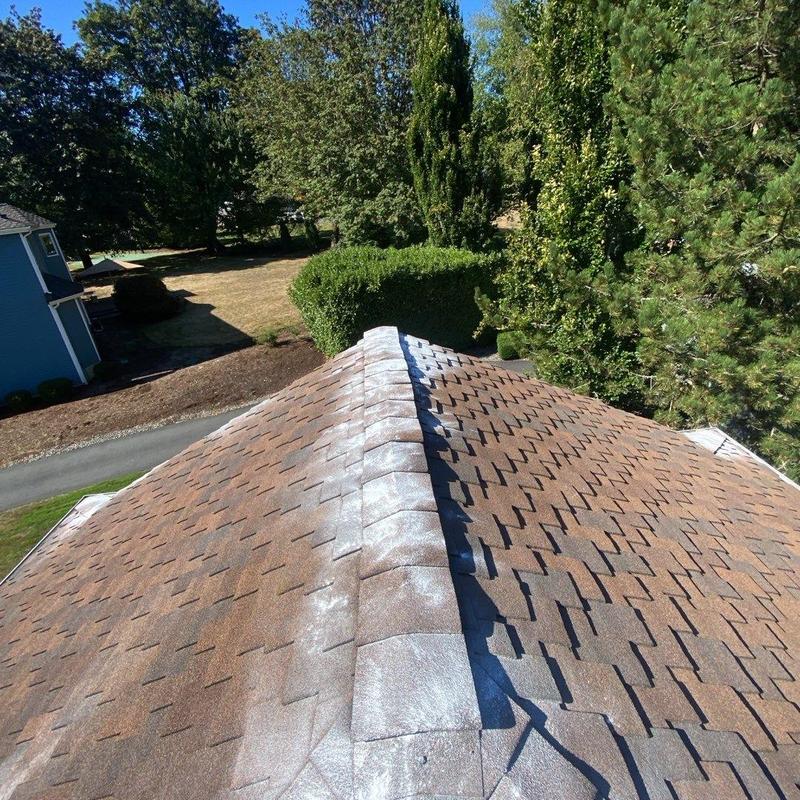 Roof shingles moss treatment and cleaning on ridge line