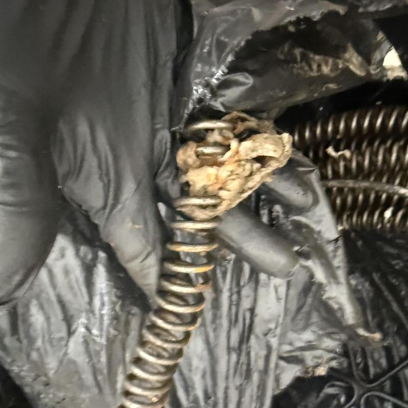 Drain snake coil with debris on gloved hand