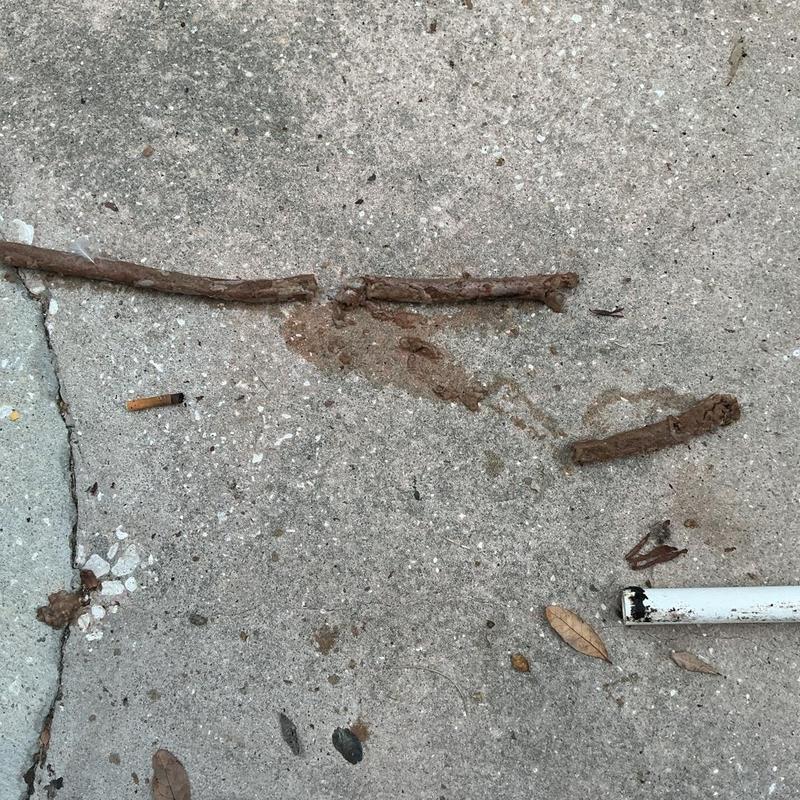 Drain cleaning debris and debris removal on concrete ground