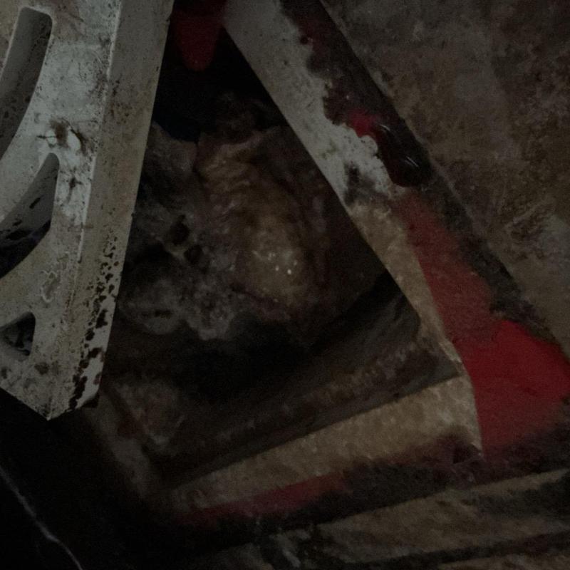 Clogged commercial drain with debris buildup cleaning