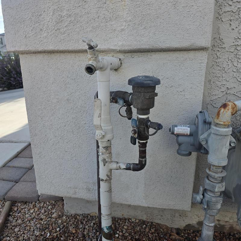 Main water shut-off valve and landscaping tee outdoors
