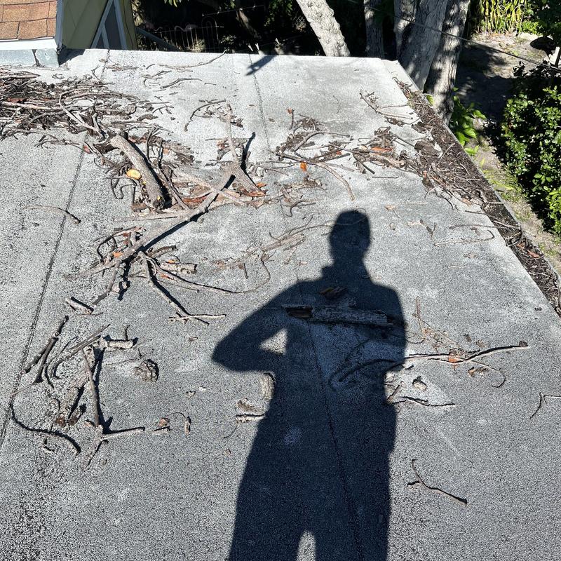 Flat roof with tree debris and shadow in Hudson, FL Flat roof with tree debris and shadow in Hudson, FL