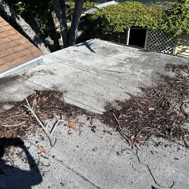 Modified bitumen flat roof with tree debris damage Modified bitumen flat roof with tree debris damage