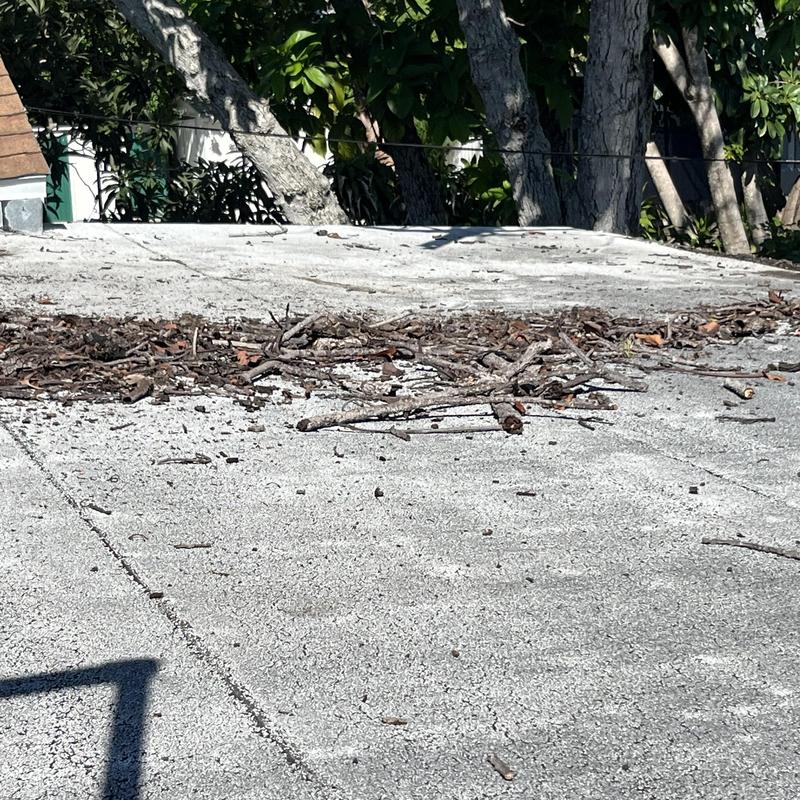 Flat modified bitumen roof with tree debris damage Flat modified bitumen roof with tree debris damage
