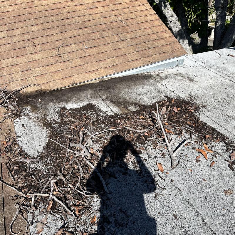 Modified bitumen roof with tree debris and damage Modified bitumen roof with tree debris and damage