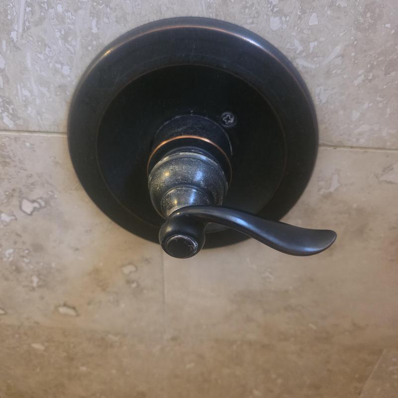 Delta shower cartridge handle and trim replacement