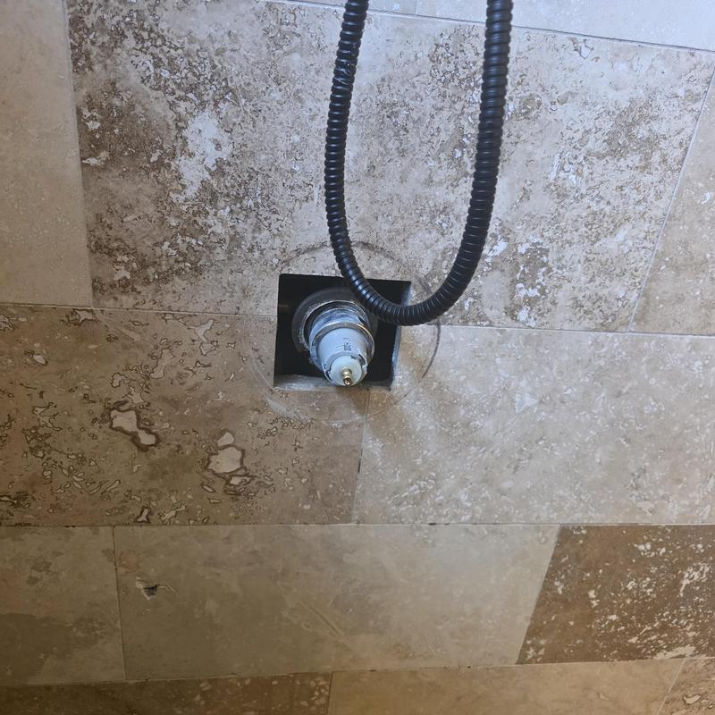 Delta shower cartridge replacement with shower hose