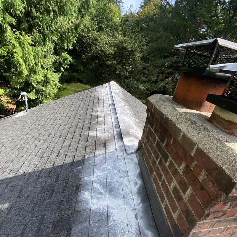 Roof ridge and chimney with moss treatment application
