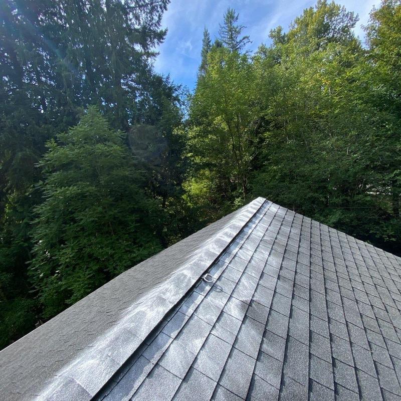 Roof shingles with moss treatment and cleaning