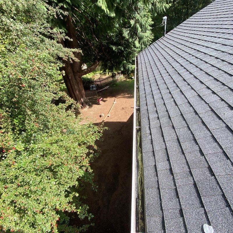 Roof shingles and gutter cleaning with moss treatment