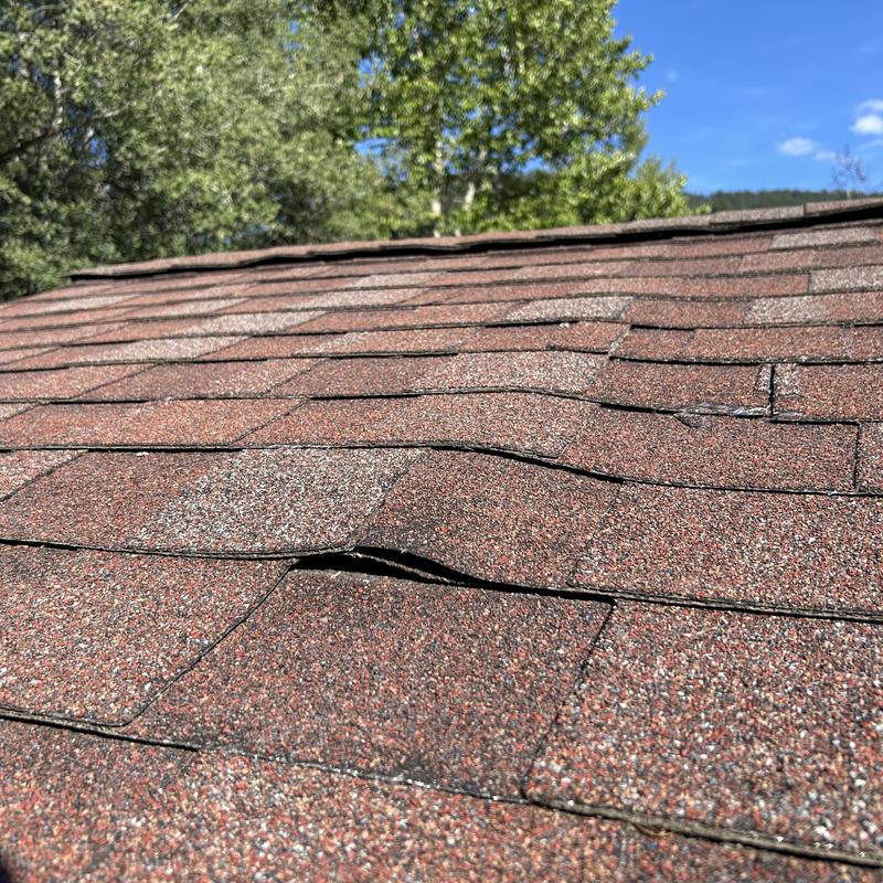 Asphalt shingle roof with lifted and damaged shingles