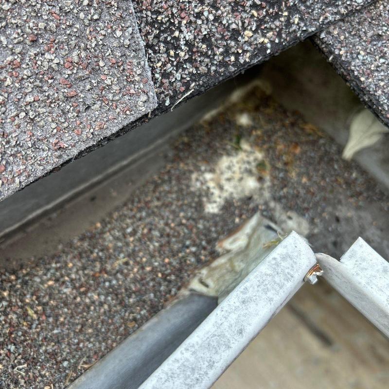 Roof shingles and gutter with debris buildup