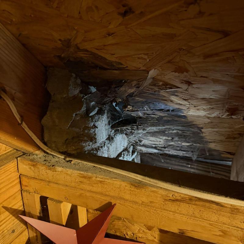 Crawl space moisture damage and wood deterioration