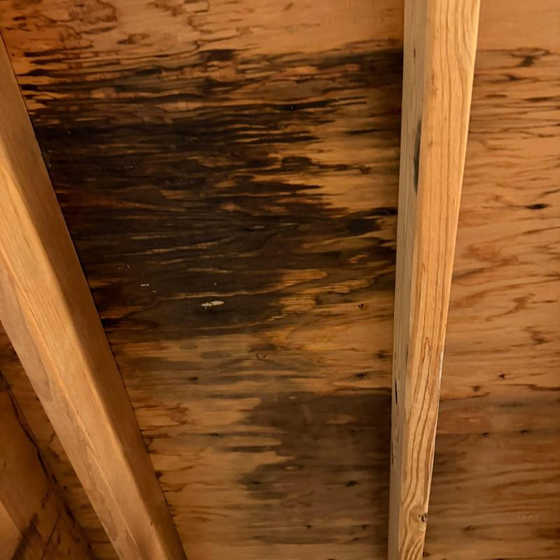 Plywood roof decking with water damage stains