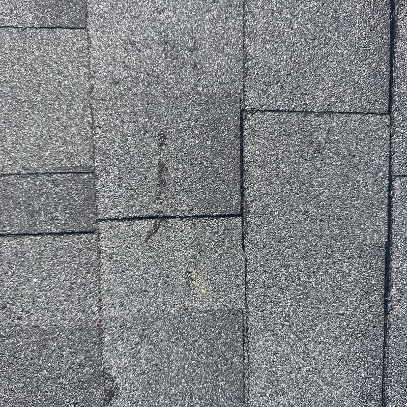 Asphalt roof shingles with hail damage marks