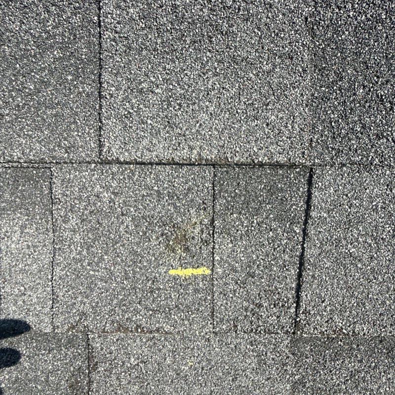 Asphalt roof shingles with hail damage mark