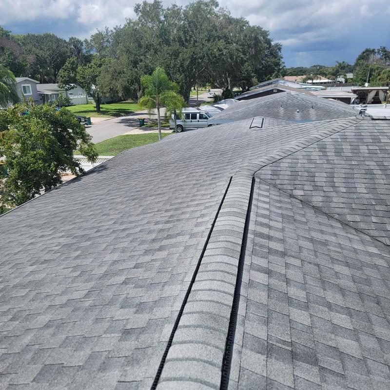Dimensional shingle roof in excellent condition Dimensional shingle roof in excellent condition