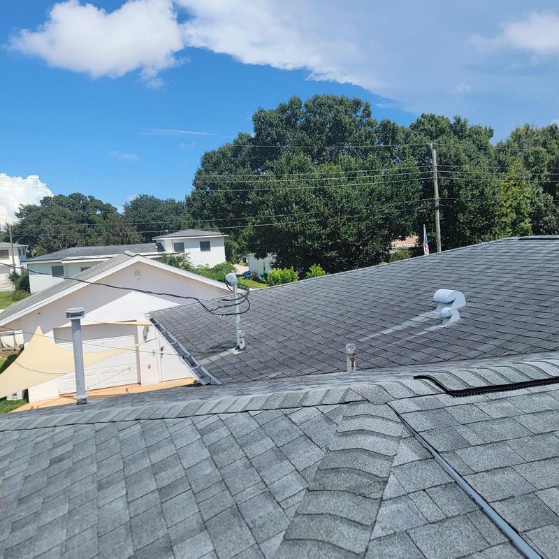 Dimensional shingle roof in excellent condition under blue sky Dimensional shingle roof in excellent condition under blue sky