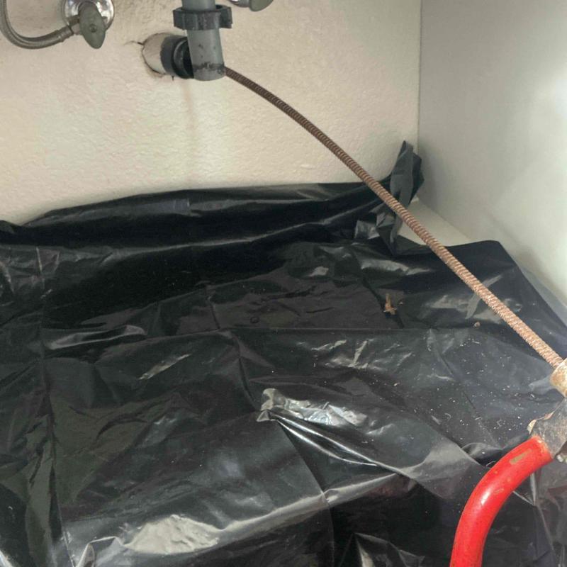 Vanity sink drain line with plumbing snake in use