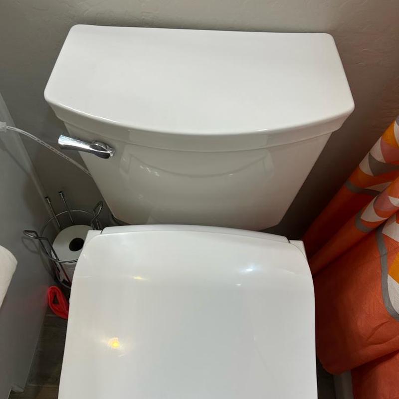 Toilet tank with new fill valve and flapper installed