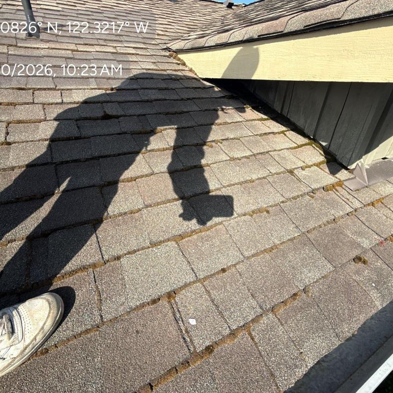 Asphalt shingle roof with visible moss growth and debris
