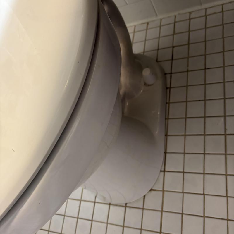 Toilet base with new wax seal installed on tile floor Toilet base with new wax seal installed on tile floor