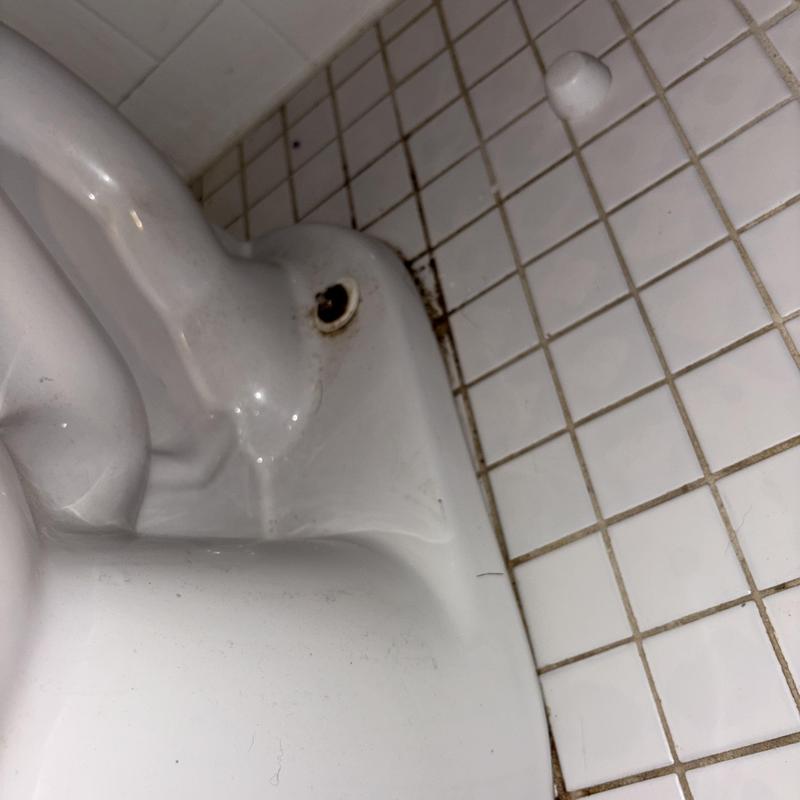 Toilet base with missing bolt on tiled floor Toilet base with missing bolt on tiled floor