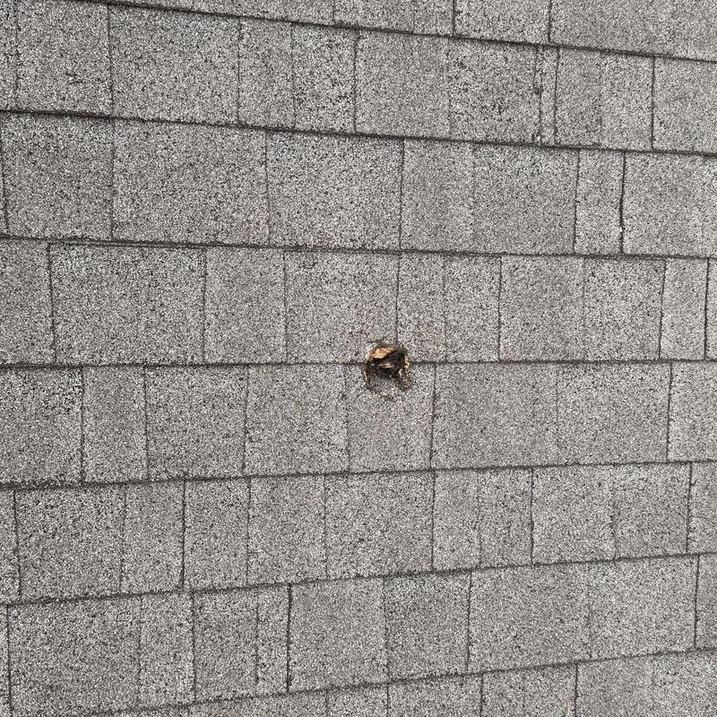 Asphalt shingle roof with puncture hole from tree branch