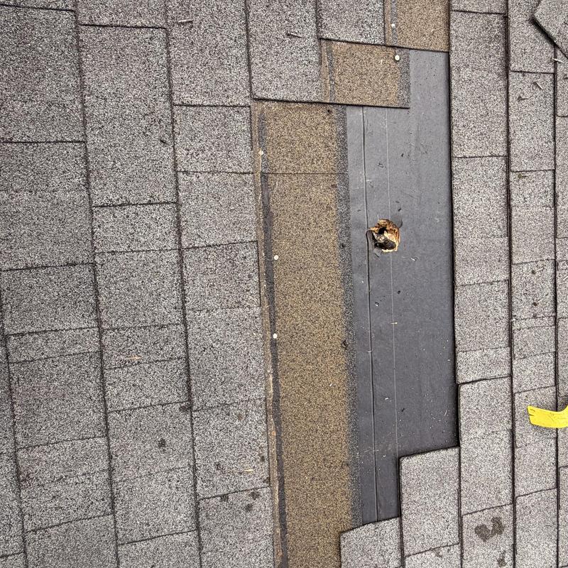 Roof shingles with puncture damage from tree branch