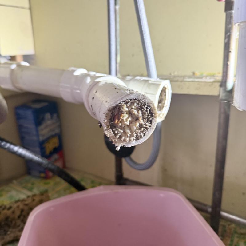 Kitchen drain pipe clogged with debris blockage Kitchen drain pipe clogged with debris blockage