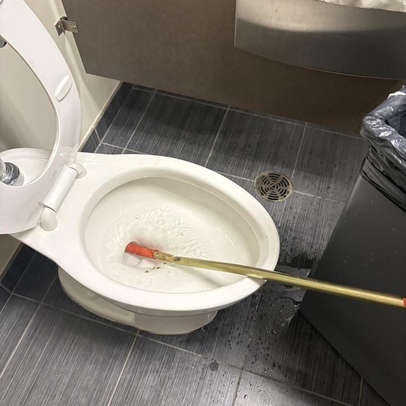 Toilet bowl backup with plumber snake cleaning tool Toilet bowl backup with plumber snake cleaning tool