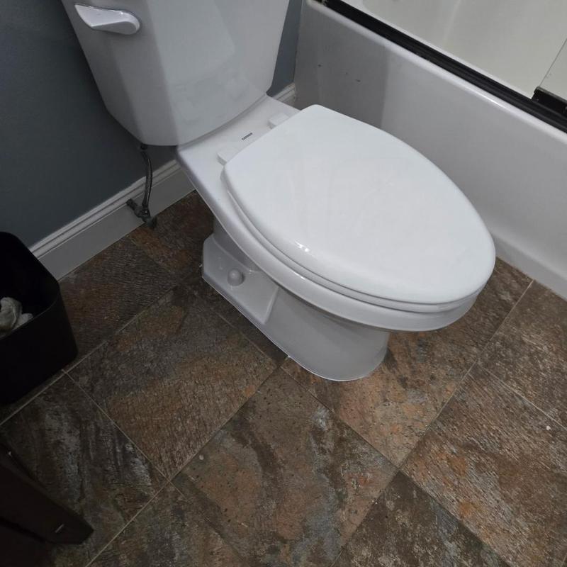 Toilet replacement in residential bathroom Waterford Twp Toilet replacement in residential bathroom Waterford Twp