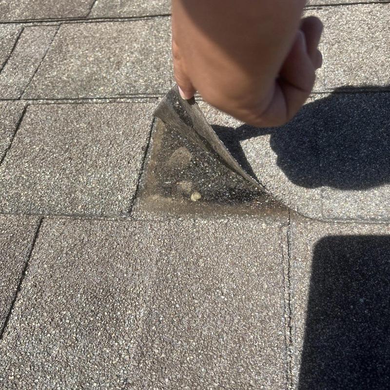 Asphalt roofing shingle lifted for inspection on roof