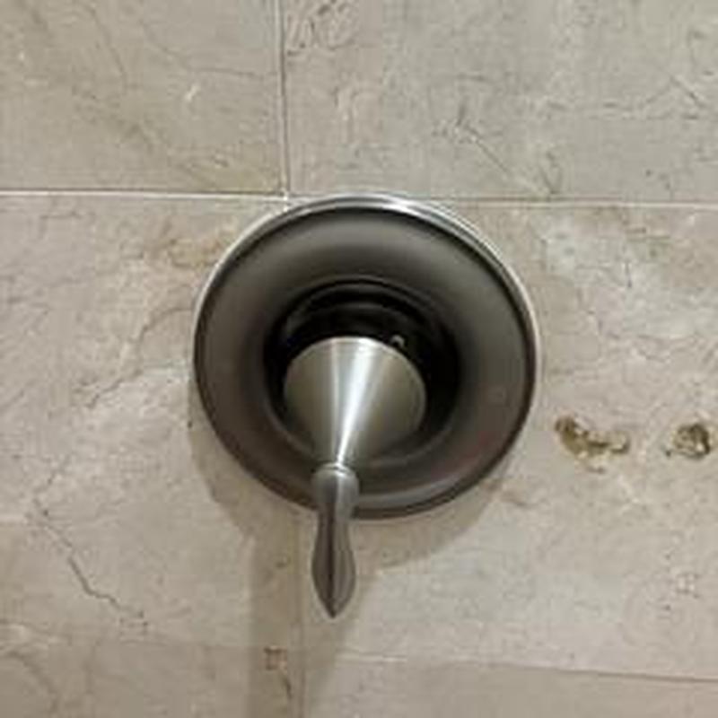 Shower valve handle and trim plate on tiled wall