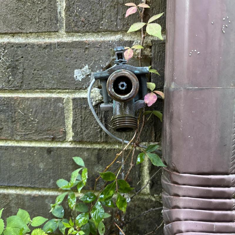 Frost-free hosebib valve on brick wall with vines Frost-free hosebib valve on brick wall with vines