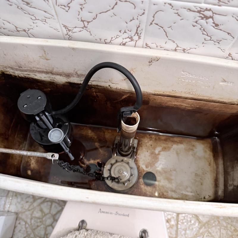 Toilet tank internal parts replacement and cleaning