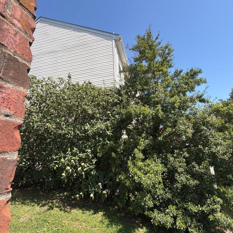 Vinyl siding exterior wall next to brick corner