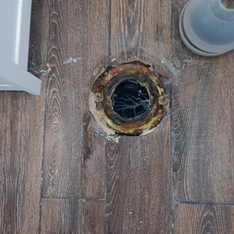 Closet flange on wood floor prepared for toilet installation Closet flange on wood floor prepared for toilet installation