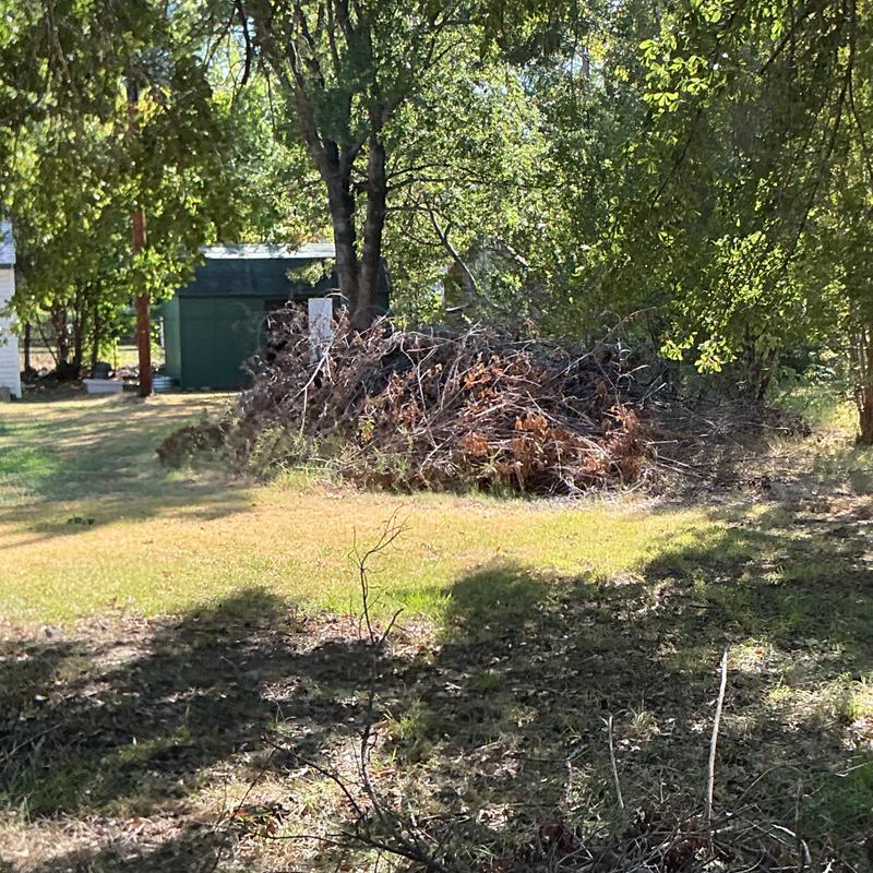 Brush pile cleared from residential yard in McAlester, OK Brush pile cleared from residential yard in McAlester, OK
