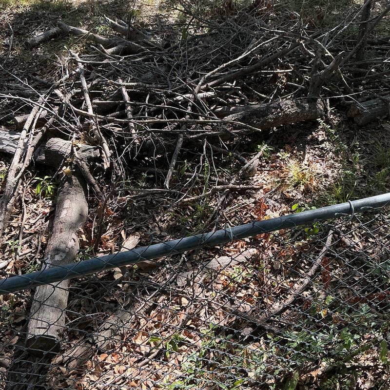 Overgrown brush clearing stacked behind fence Overgrown brush clearing stacked behind fence
