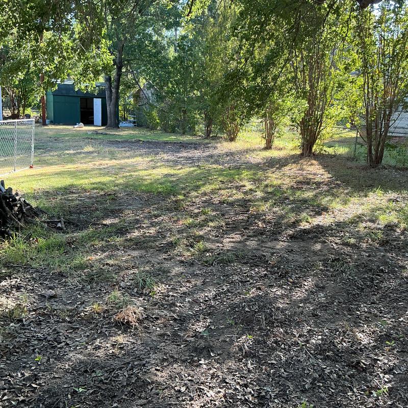 Overgrown brush cleared around residential yard Overgrown brush cleared around residential yard