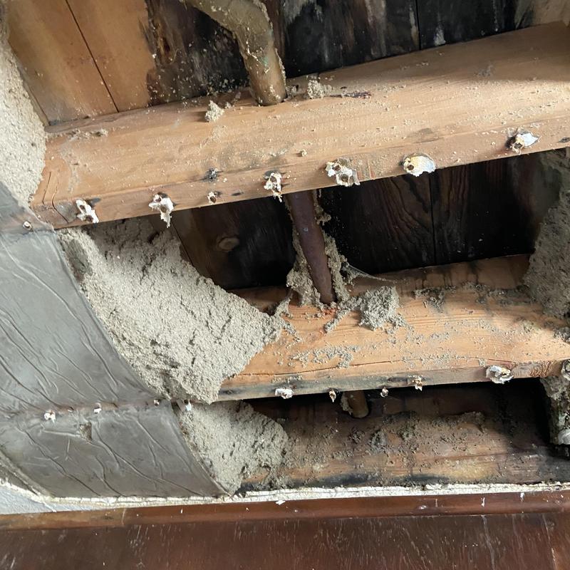 Drain lines and water pipes in ceiling joists with damage Drain lines and water pipes in ceiling joists with damage